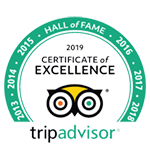 icon tripadvisor