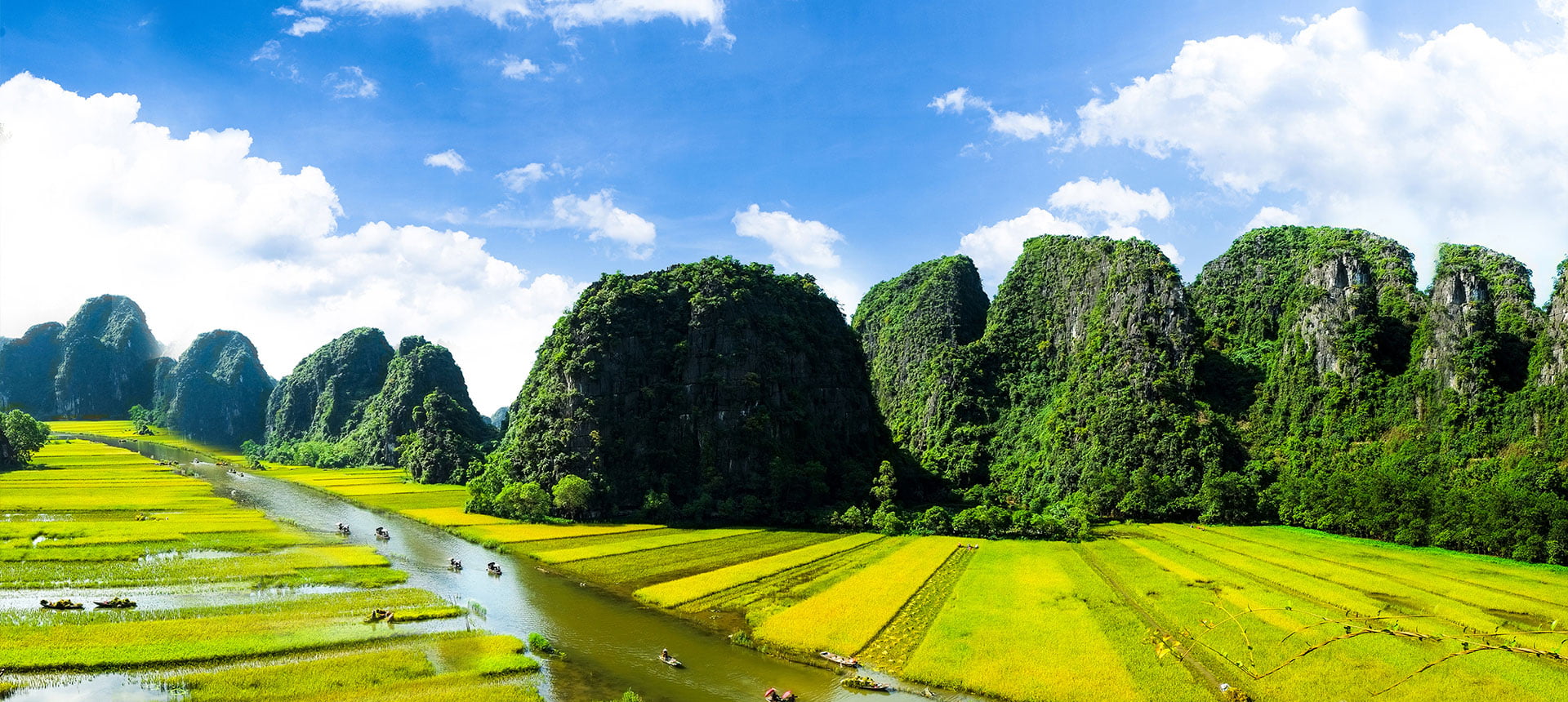 rice field and ngodong river in ninhbinh vietnam 1