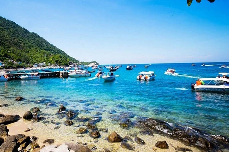 Tour Câu Cá Cù Lao Chàm 1 Ngày 4 tourdulichculaocham1ngay