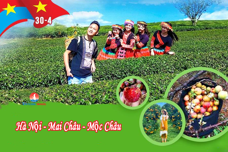 Tour Du Lịch Hà Nội - Mộc Châu 2 ngày 1 Đêm 30/4-1/5 2 tourdulichhanoimocchau30 4