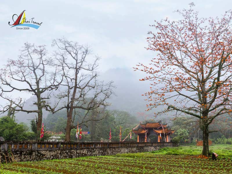 vietnam village tour6