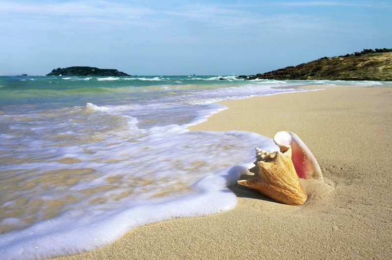 Tour Du Lịch Mũi Né - Phan Thiết 2 Ngày 1 Đêm 1 tourdulichmuine2ngay1demtuhcm