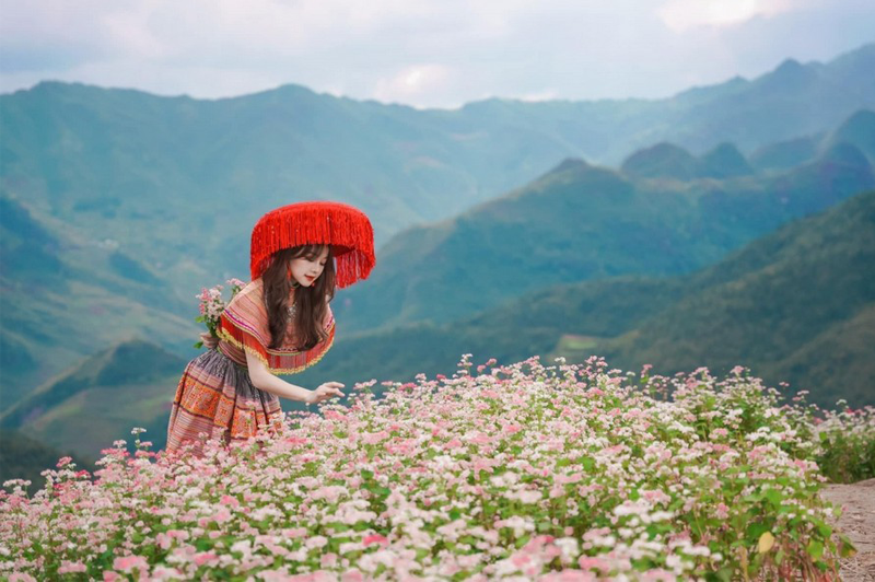 dulichhagiangmuahoatamgiacmach