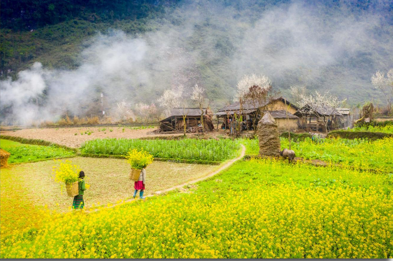 dulichmuahoacaihagiang