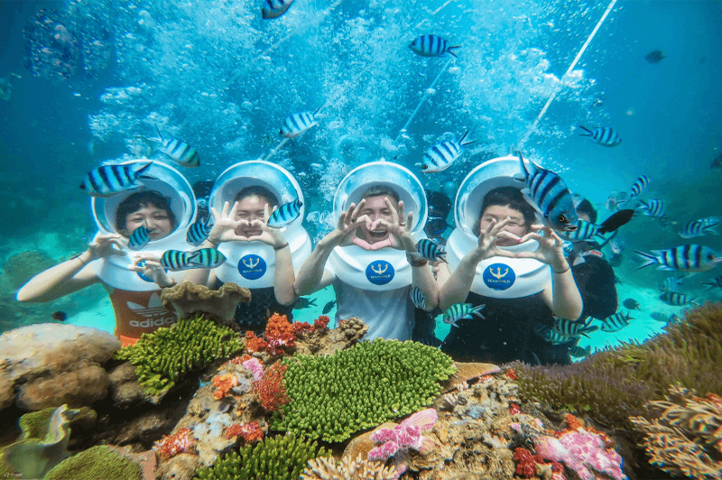 scubadivingtoseecoralsinculaocham