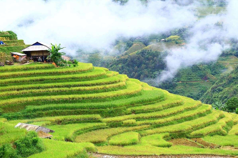 didulichmocchaumualuachinvaothangmay