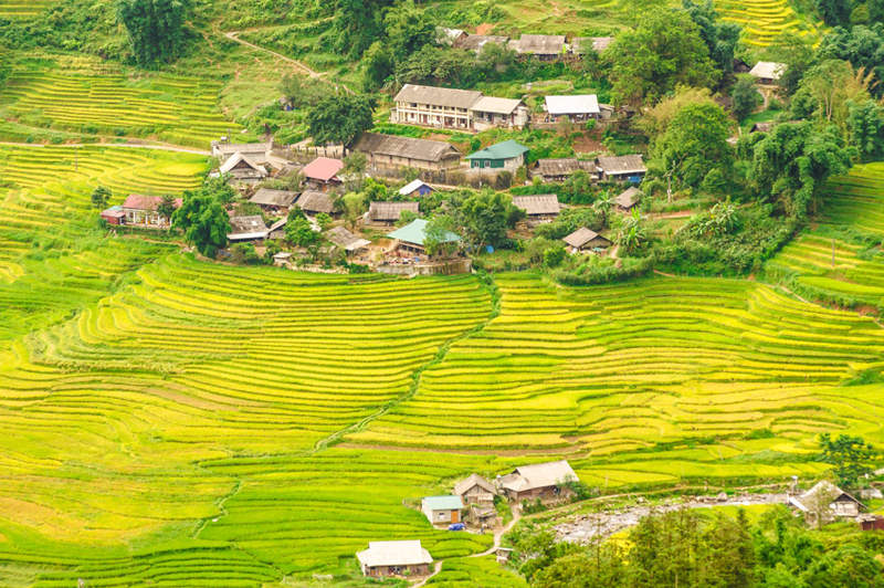 didulichsapathang9cogidep