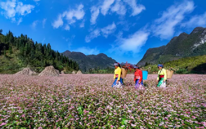 Ha Giang Travel Cost 2026 For Your Trip