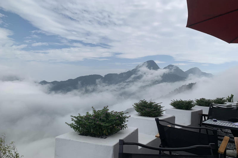 nhungdiemcheckintaitamdao