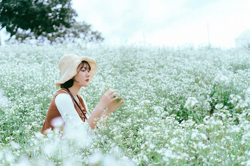 top5diemcheckinbenmuahoacaitrangmocchau