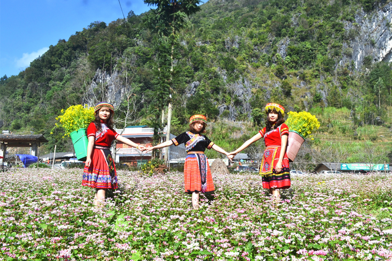 travelingtohagianginbuckwheatflowerseason