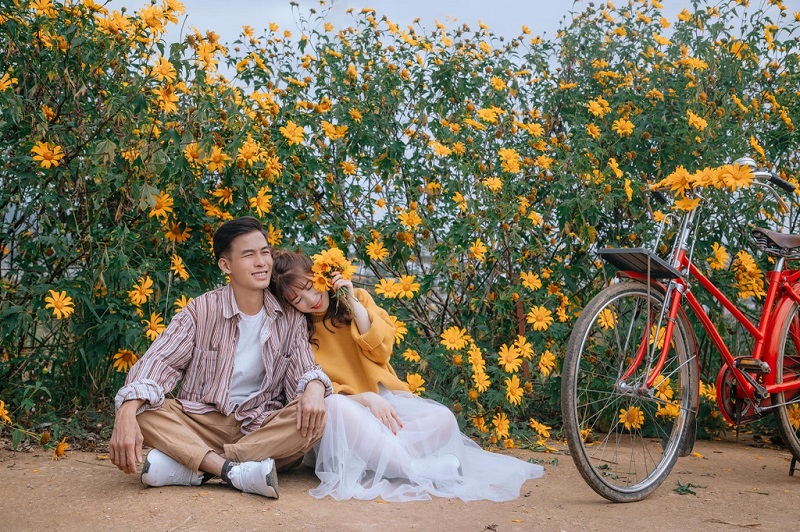 didulichdalatmuahoadaquy