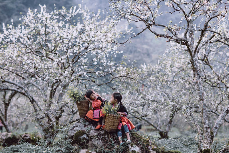 didulichmocchautetnenthamquannhungdau