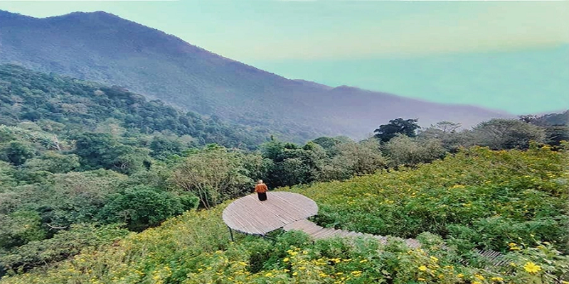 didulichtamdaothang11cogidep