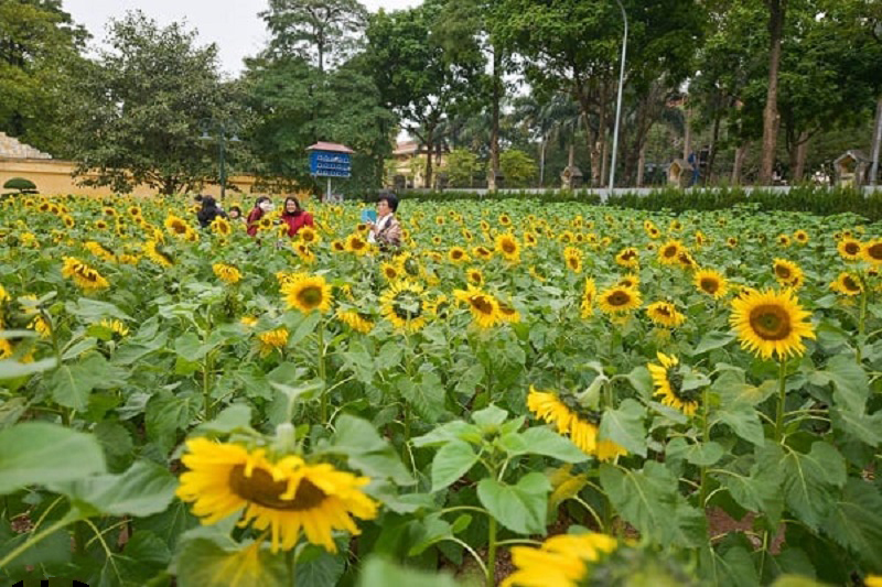 top10hottestcheck inspotsinhanoi4