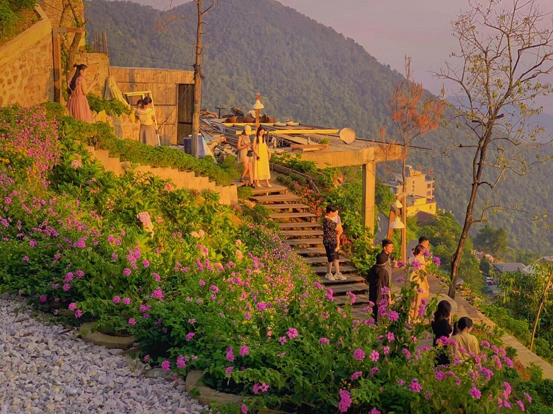 kinhnghiemdulichtamdaotet