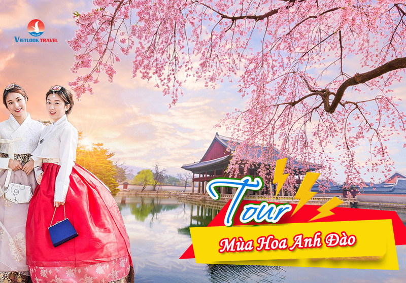 Tour Du Lịch Hàn Quốc 5 Ngày 4 Đêm Mùa Hoa Anh Đào (Bay Vietnam Airlines) 2 tourduichhanquoc5ngay4demmuahoanhdao