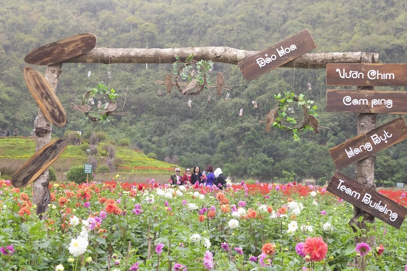 Ngắm mùa hoa Thung Nham 28 ngammuahoathungnham