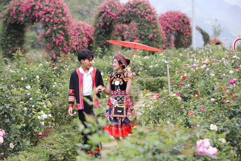 Lễ hội hoa hồng Fansipan Sapa 17 lehoihoahongfansipansapa