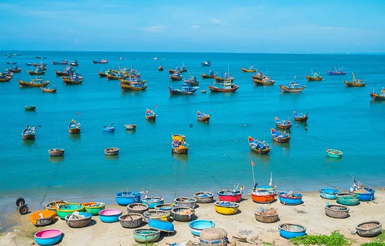 Saigon To Mui Ne Private Car Transfer