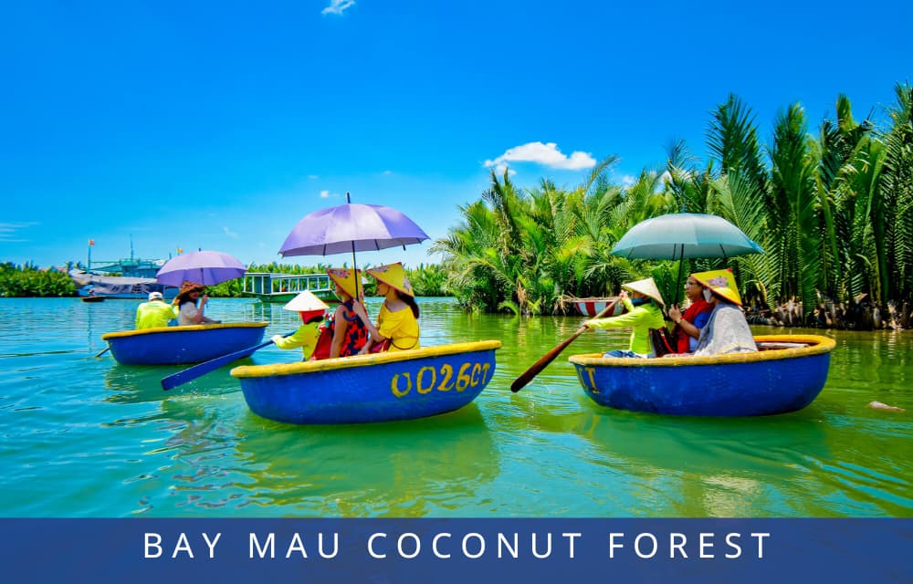 Da Nang Travel: The Best Time To Visit Bay Mau Coconut Forest 21 Bay Mau Coconut Fores