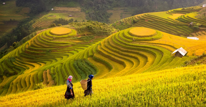 Sapa, Lao Cai – Where The Legend Of Terraced Fields Comes To Life