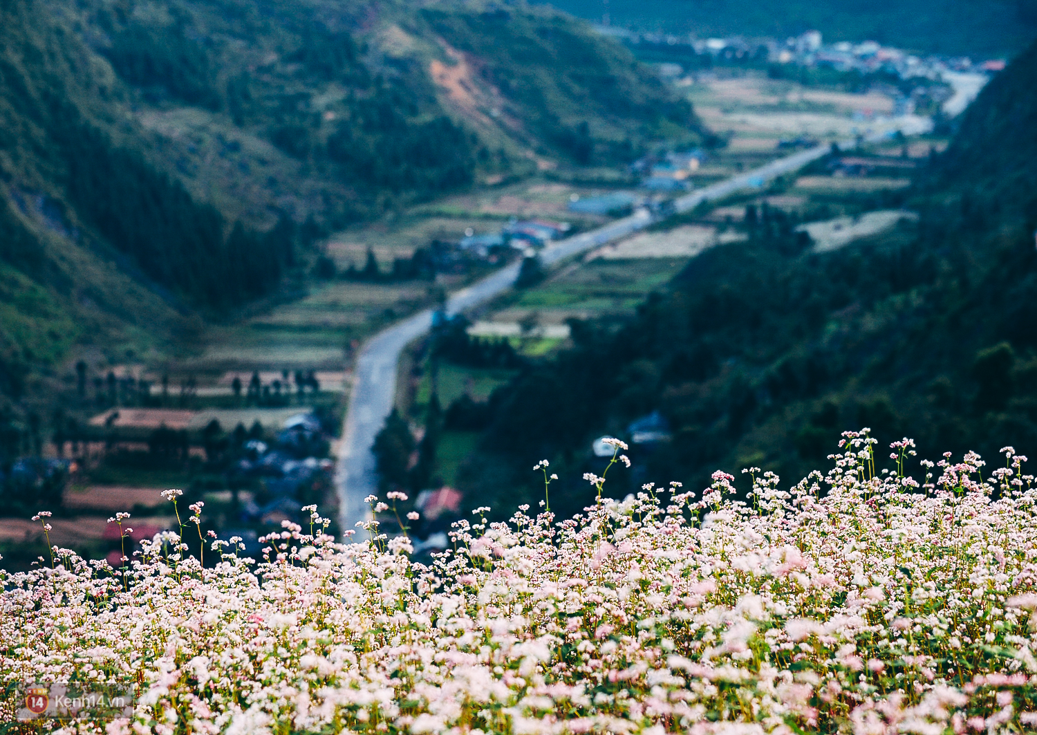 Complete Guide To Ha Giang Package Tours