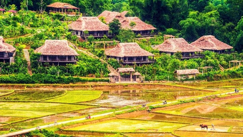Experience Traveling In Northwest Vietnam With Scenic Homestays